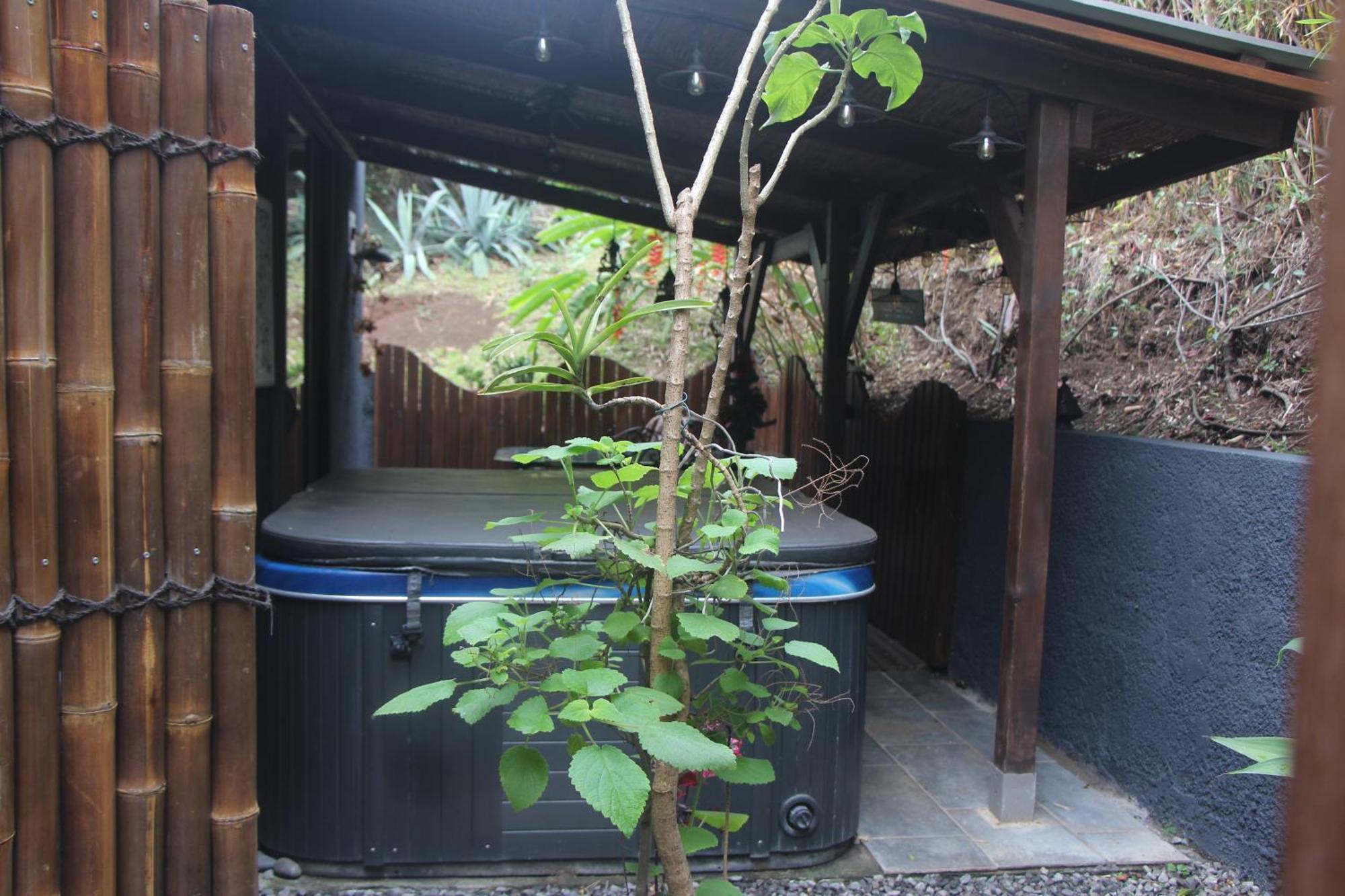 La Liane De Jade 974-Lodge Le Palissandre - Jacuzzi Privatif - Piscine Chauffee Le Bois de Nefles  Exterior foto